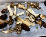 茸のオーブン焼き！YGソース🍄作り方4写真