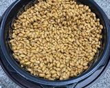 アイリスオーヤマ電気圧力鍋で納豆作り方15写真