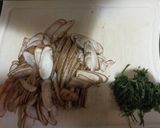 ごぼうの和風パスタ作り方1写真