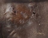 絹豆腐でヘルシーガトーショコラ💓作り方10写真