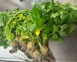三つ葉とイカの塩昆布和え作り方1写真