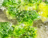 ブロッコリーと厚揚げの胡麻マヨネーズ和え作り方5写真