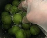 青梅のカリカリ梅作り方4写真