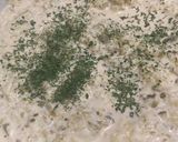 サルサタルタルソース作り方4写真