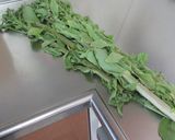 『ふきのとうの茎』のきんぴら作り方1写真