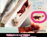 道産子の春☆ニシンの塩バター♬ムニエル風作り方22写真