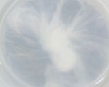 麦麹と大豆と粗塩の自家製お味噌作り方8写真