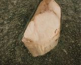 フライパンでできるブリの照り焼き作り方1写真