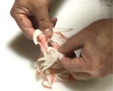 芹と茗荷とカニカマの冷製マヨぺぺ作り方1写真