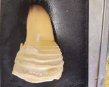 筍ご飯（あく抜きから丁寧に）作り方5写真