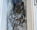 釣って来たヒラメをキノコ鍋でしゃぶしゃぶ作り方1写真