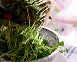 豆苗と切り干し大根のさっぱり中華和え作り方3写真