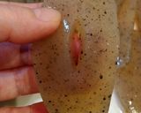 こんにゃくの七味唐辛子ガーリック炒め作り方1写真