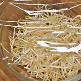 もやしとかにかまのやさしい中華風酢の物作り方1写真