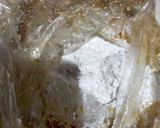 鶏むね肉のガーリックマヨチキン作り方2写真