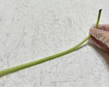 美味しい♡さつまいもの茎のきゃらぶき風作り方1写真