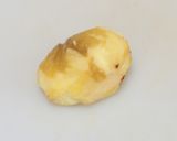 栗の皮むきは電子レンジで簡単！鬼皮・渋皮のむき方作り方6写真