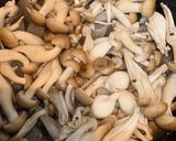 里芋とこんにゃくの山形風芋煮作り方3写真