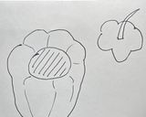 ごろっとピーマンの肉詰めプチトマト煮込み作り方2写真
