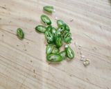 茗荷と青唐辛子の醤油和え作り方2写真