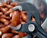 どんぐり粉(マテバシイ)の作り方作り方5写真