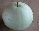 かんぴょうの作り方作り方1写真