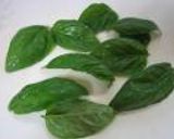バジルドレッシングで＊＊＊＊＊初夏のgreen*greenサラダ作り方1写真