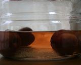 すもも酒作り方5写真