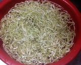 ♡ソムタム♡作り方1写真
