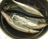 いわしのくんせい作り方3写真