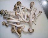 巾着茄子と車麩の煮物作り方6写真