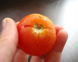 *ルビー色*トマトのシロップ漬け作り方1写真