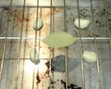 黒毛和牛のローストビーフ3作り方2写真