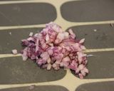 やめられへんｗアボカドの薬味ぽん酢漬け♪作り方1写真