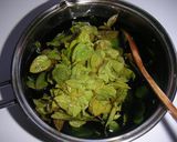 自家製ミントリキュール♪作り方6写真