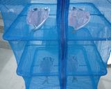 アジの干物の作り方～釣り人編～作り方5写真