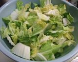 白菜の浅漬け柚子風味作り方1写真