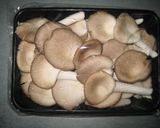 キノコとアスパラのじゃがバタ炒め作り方2写真