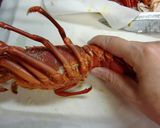 簡単！伊勢エビのゆで方と身の取り出し方作り方4写真
