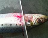 いわしのつみれ作り方3写真