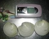 カガミ貝の焼き物：レオン亭作り方1写真