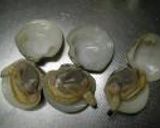 カガミ貝の焼き物：レオン亭作り方2写真