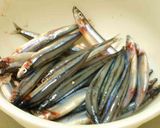 きびなごのから揚げ!うまい!作り方1写真