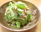 新野菜サラダゴーヤとツナの和え物作り方6写真