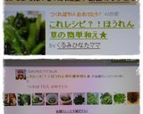 これレシピ？！ほうれん草の簡単和え★作り方7写真