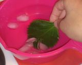 長期保存★大葉の塩漬け★作り方3写真
