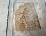 サーモンとほうれん草の和風パスタ作り方2写真