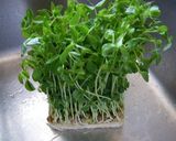 ベジ豆苗のソテー作り方1写真