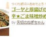 ゴーヤと厚揚げの★ピリ辛★ごま味噌炒め作り方8写真