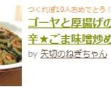 ゴーヤと厚揚げの★ピリ辛★ごま味噌炒め作り方8写真